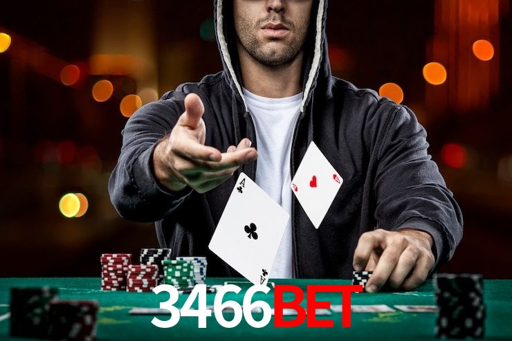 3466BET,3466BET.COM